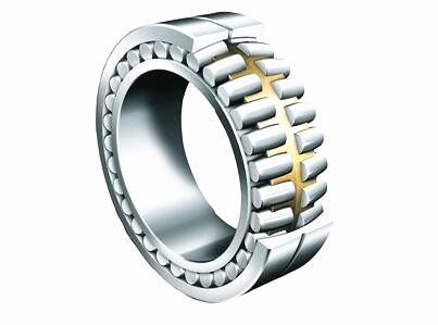 Double Row Cylindrical Roller Bearings