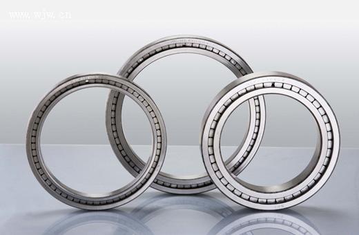 Spherical Double Row Full Complement Rolle Bearings(positioning type)